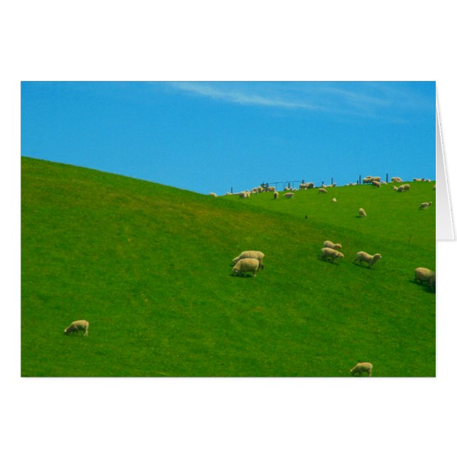 nz (Anverso (Horizontal))