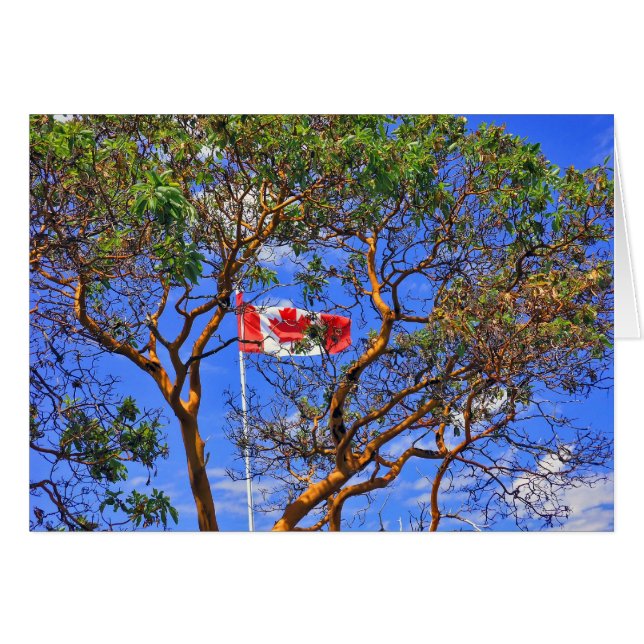 O Canadá - Tarjetas (Anverso (Horizontal))