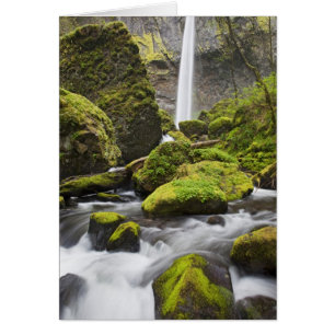 O, desfiladero del río Columbia, cataratas de Elow