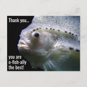 O-fish-ally la mejor postal de agradecimiento
