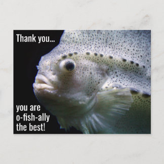 O-fish-ally la mejor postal de agradecimiento