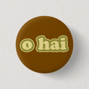 O HAI Lolcat Speak Flair Botón Pinback