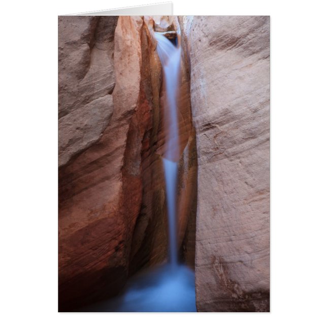 Oasis desolado (Frente)