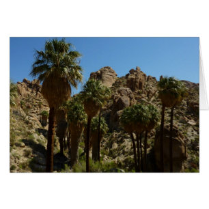 Oasis Lost Palms I en el Parque Nacional Joshua Tr
