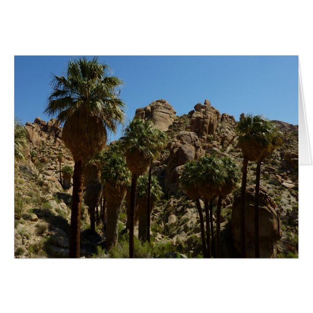 Oasis Lost Palms I en el Parque Nacional Joshua Tr (Anverso (Horizontal))