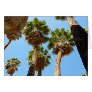 Oasis Palms en el Parque Nacional Joshua Tree