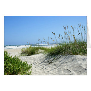 Oats marinos en Ocracoke