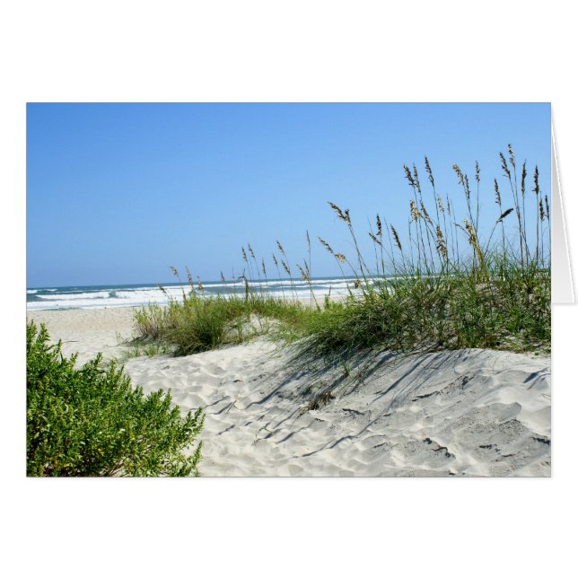 Oats marinos en Ocracoke (Anverso (Horizontal))
