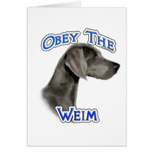 Obedezca a Weimaraner