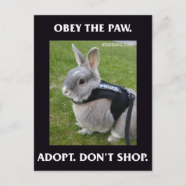Obedezca la postal de Paw