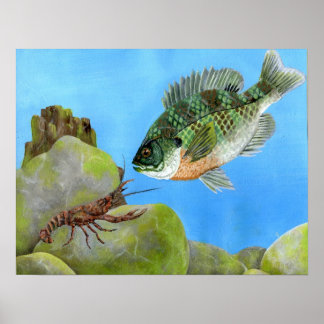 Obra de arte ganadora de M. Peet, grado 11