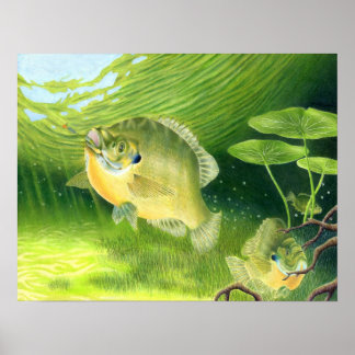 Obra de arte ganadora de R. Nelson, grado 7