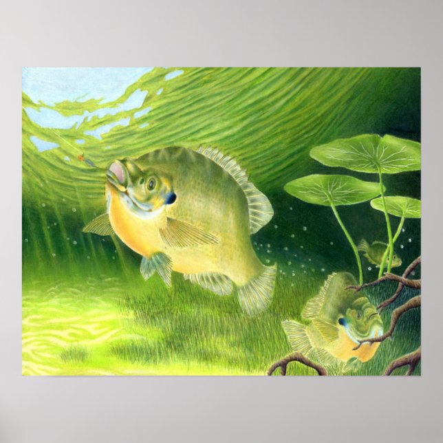 Obra de arte ganadora de R. Nelson, grado 7 (Frente)