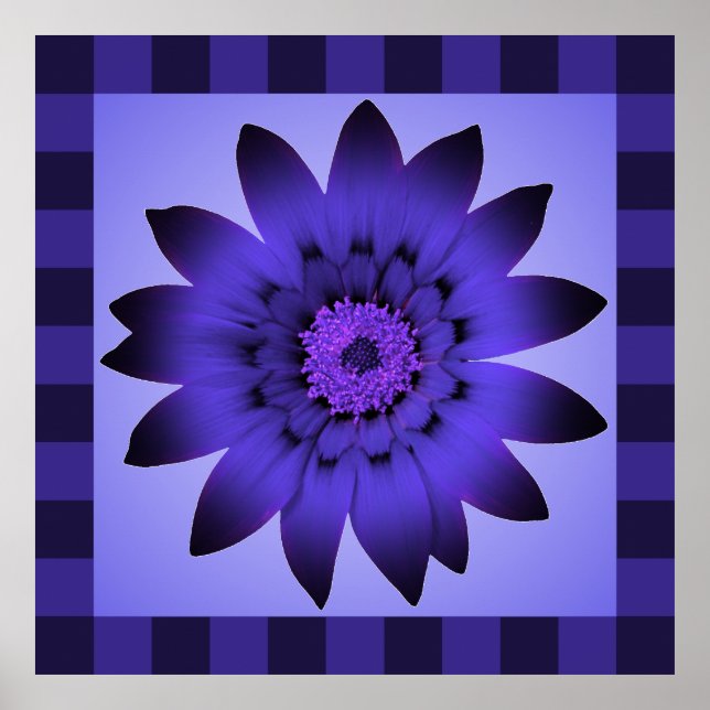 Obra de arte Violet FLower - Posters (Frente)