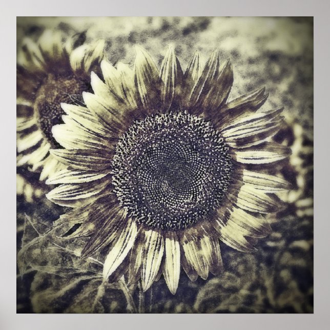 Obra de arte virgen de la pintura de girasol #3 -  (Frente)