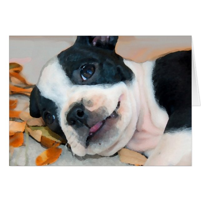 Obra de Boston (Anverso (Horizontal))