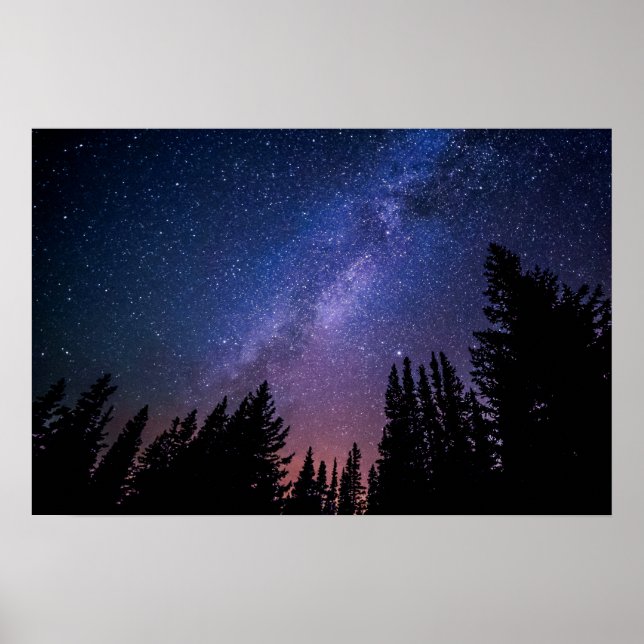 Obras de arte de árboles nocturnos y estrellas | P (Frente)