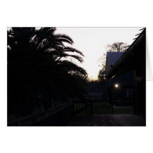 Observación de la puesta del sol