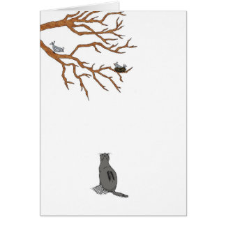 Observación de pájaros, en blanco