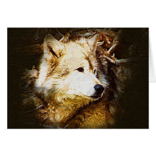 Observación del lobo gris
