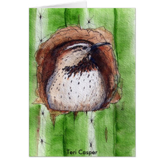 Observación del Wren de cactus