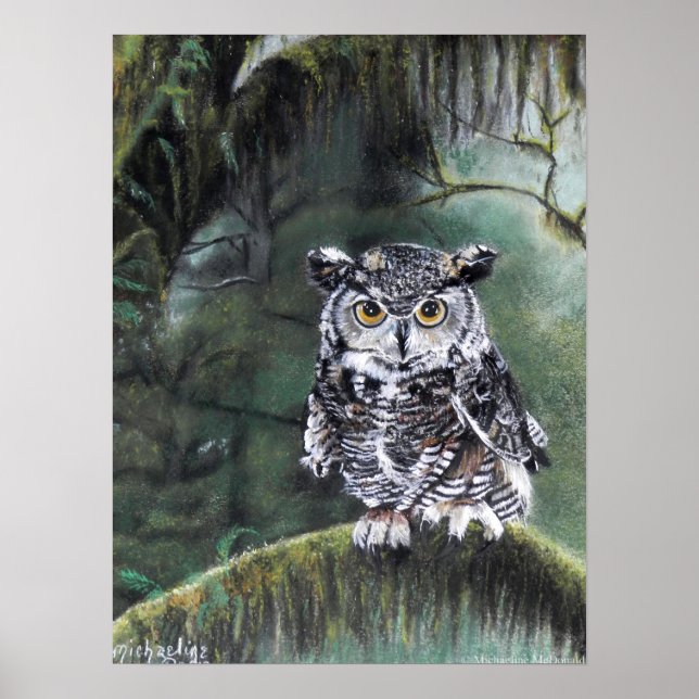 Observador En La Impresión De Arte De Lechuza De W (Frente)