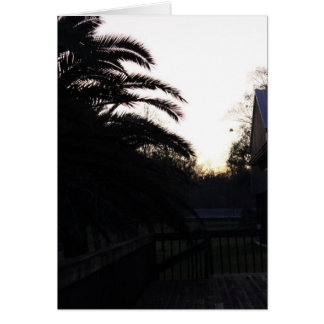 Observando la puesta de sol