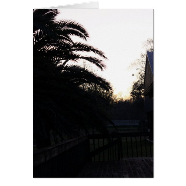 Observando la puesta de sol (Frente)