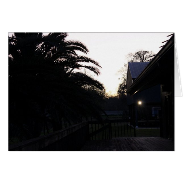 Observando la puesta de sol (Anverso (Horizontal))