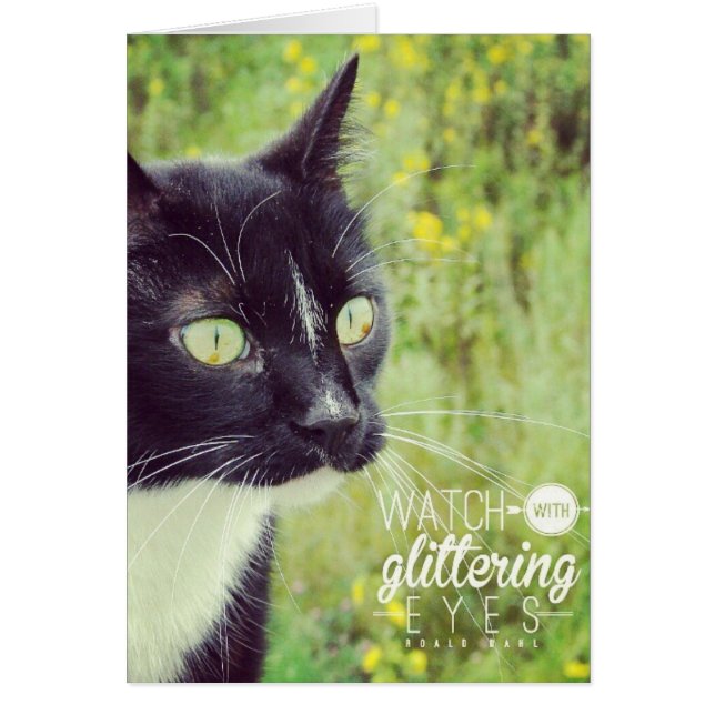 Observar con ojos brillantes (Frente)