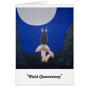 "Observatorio del campo "