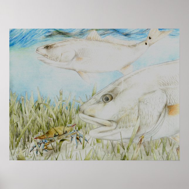 Obtención de arte por B. King Grado 8 (Frente)