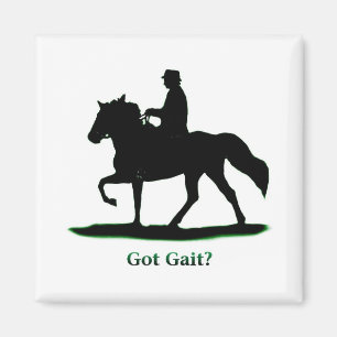 Obtención del imán Gait