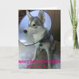 Obtener la tarjeta #2 (Graciosa)