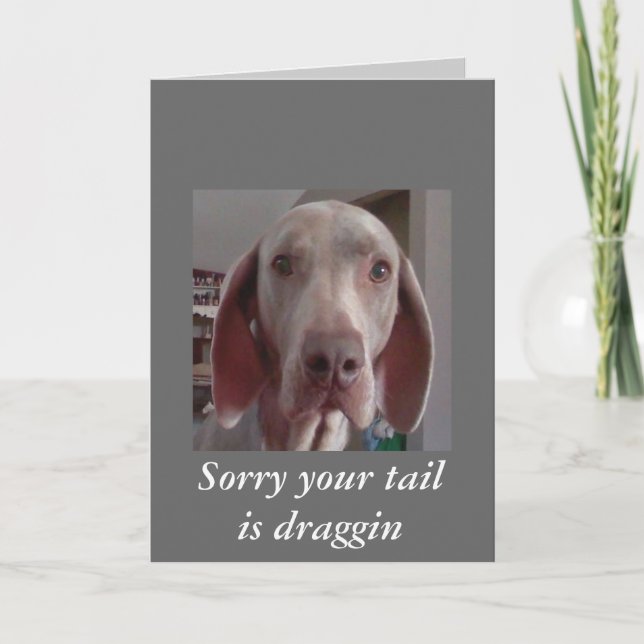 Obtener la tarjeta de buena calidad (Anverso)