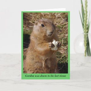 Obtener la tarjeta de gopher