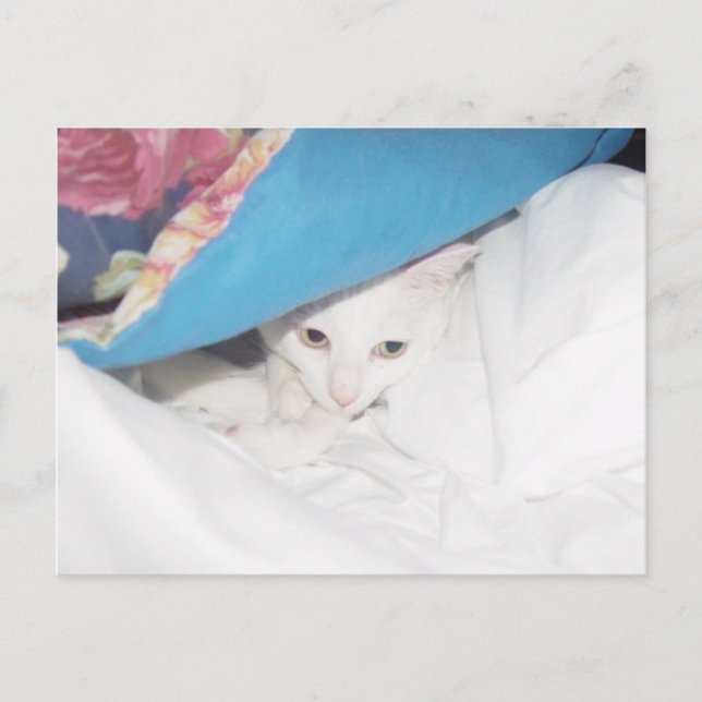 Obtener una buena postal (Anverso)