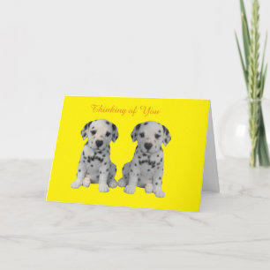 Obtener una buena tarjeta