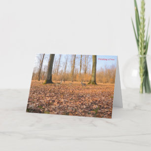 Obtener una buena tarjeta