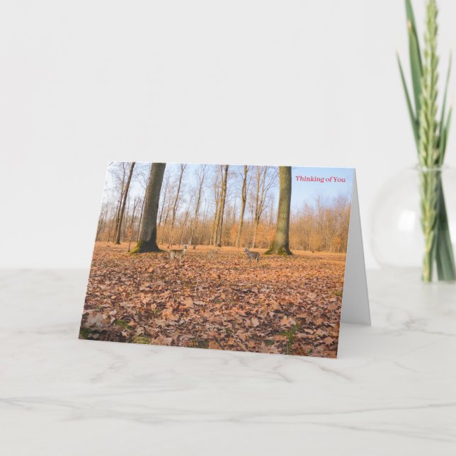 Obtener una buena tarjeta (Anverso)