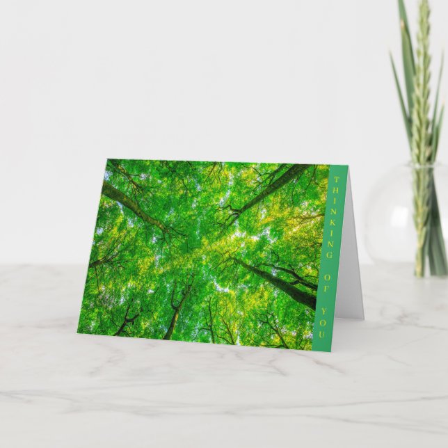 Obtener una buena tarjeta (Anverso)