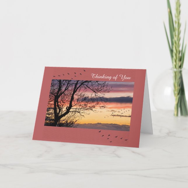 Obtener una buena tarjeta (Anverso)