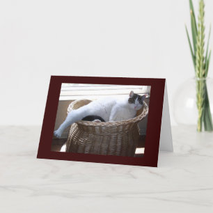 Obtener una buena tarjeta