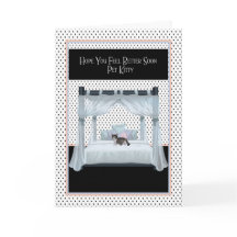 Obtener una buena tarjeta para gato en una cama de