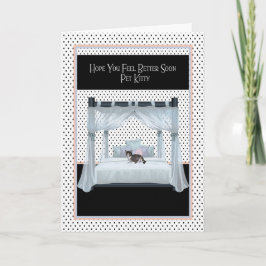 Obtener una buena tarjeta para gato en una cama de