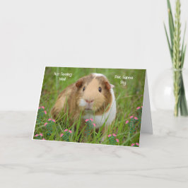 Obtener una buena tarjeta para Guinea Mascota