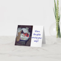 Obtener una buena tarjeta para perros