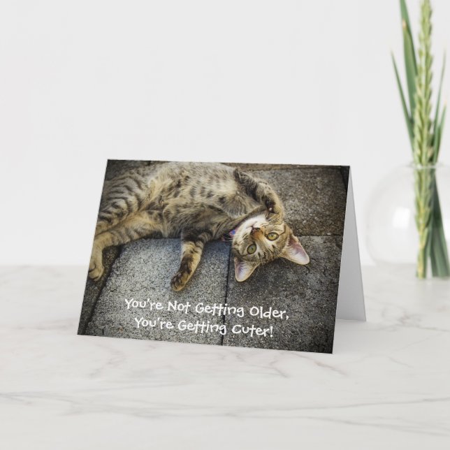 Obteniendo tarjeta de cumpleaños para gatos más vi (Anverso)