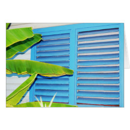 Obturadores tropicales