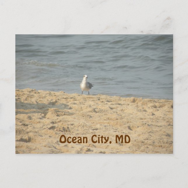 Ocean City, tarjeta postal MD (Anverso)